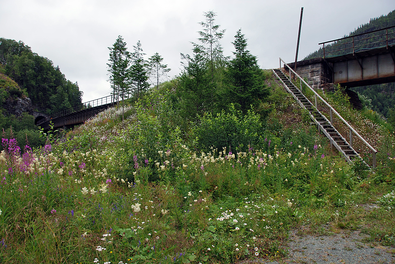 https://pix.njk.no/239/239505-20090725DSC_6374NamsenBunesetFosslandselva.jpg