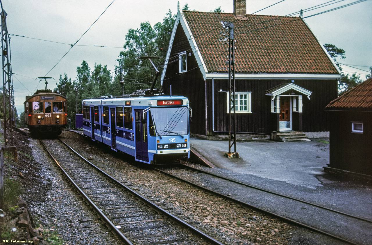 https://pix.njk.no/242/242128-HKB-S79135-Skogen-1990-06-28_3000-fotoEWJohansson.jpg